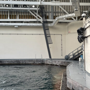 Fixed Ladders & Cages