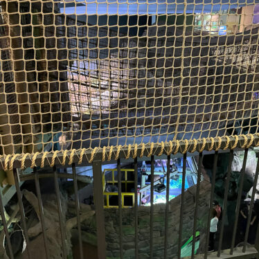 Pedestrian-Railings-1