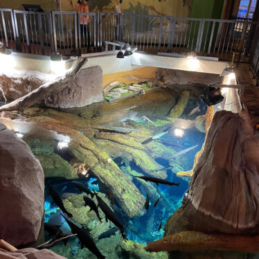 Pedestrian-Railings-3