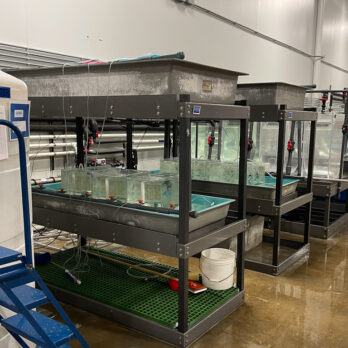 Tank Stands & Platforms-6